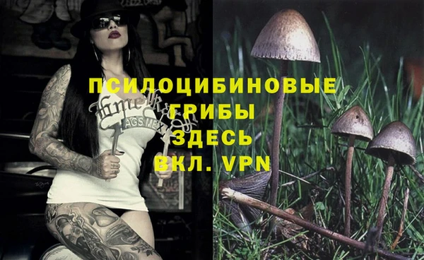ПСИЛОЦИБИНОВЫЕ ГРИБЫ Верхнеуральск