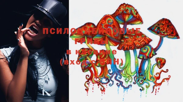 амф Вязники