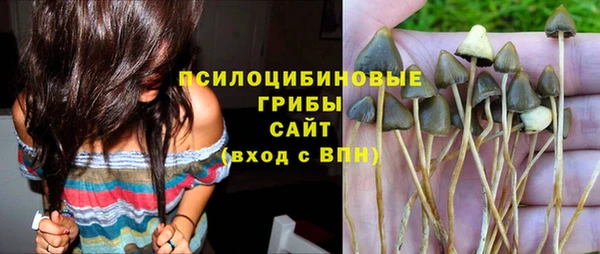 ПСИЛОЦИБИНОВЫЕ ГРИБЫ Верхнеуральск
