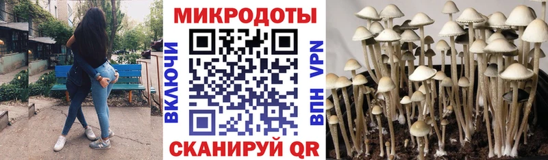 Галлюциногенные грибы прущие грибы  сколько стоит  Заводоуковск 