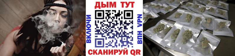 Бошки Шишки план Заводоуковск